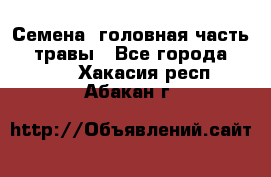 Семена (головная часть))) травы - Все города  »    . Хакасия респ.,Абакан г.